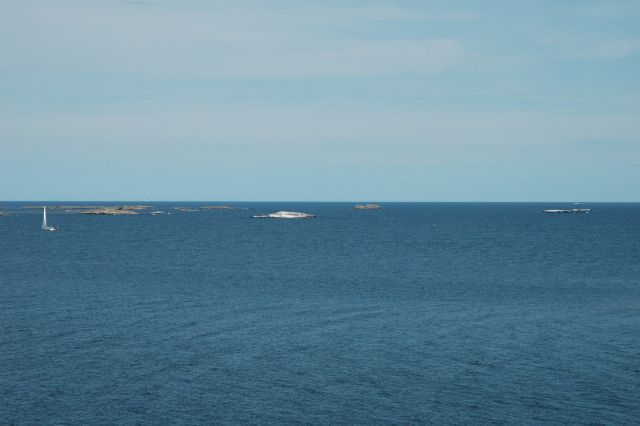 dsc_0611
